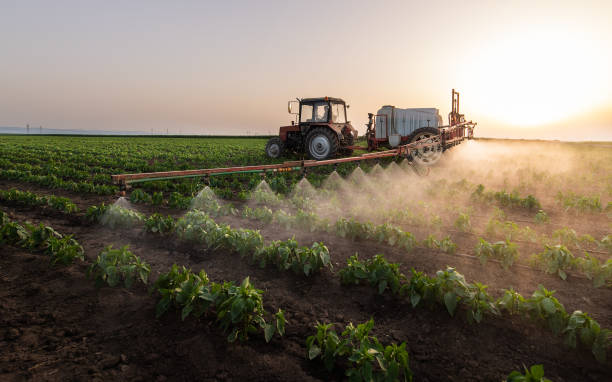 Best Ant Control Services  in Princeton, MO