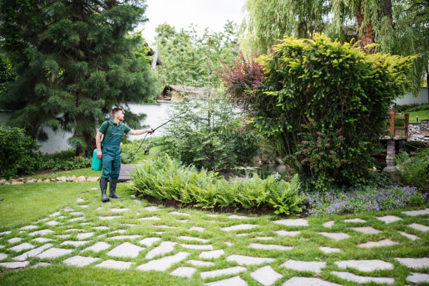 Best Affordable Pest Control Services  in Princeton, MO