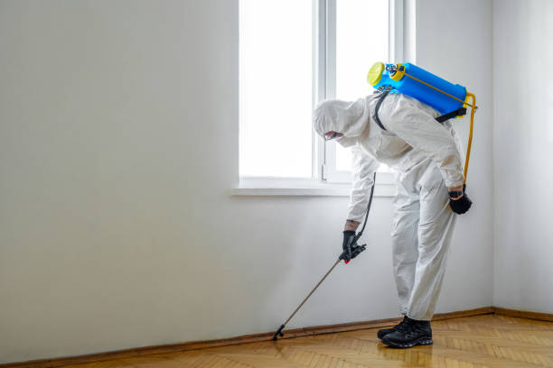 Flea Control Services in Princeton, MO