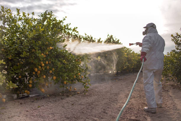 Trusted Princeton, MO Pest Control Experts
