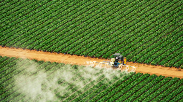 Best Commercial Pest Control Services  in Princeton, MO